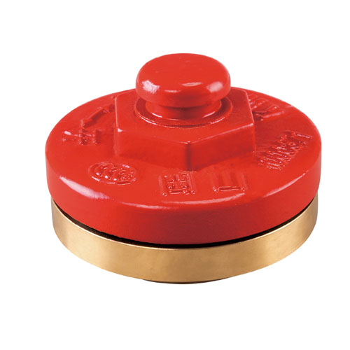 云顶集团(中国)股份有限公司