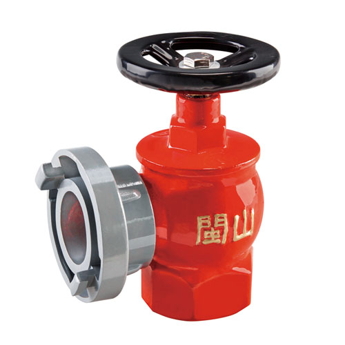 云顶集团(中国)股份有限公司