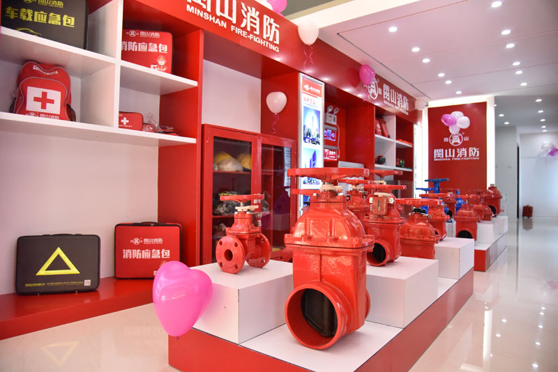 云顶集团(中国)股份有限公司